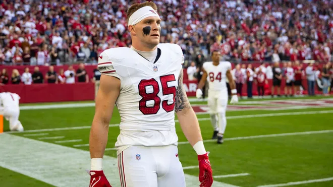 Los Angeles Rams vs Arizona Cardinals Match Player Stats los angeles rams vs arizona cardinals match player stats